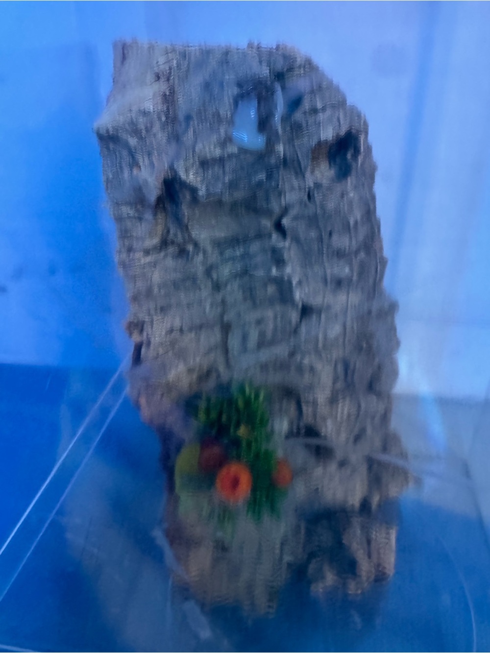 Natural Cork Bark Decor with Green and Orange Accent -Small Aquarium Pets